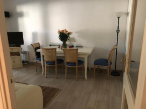 Cannes centrale and cozy apartment